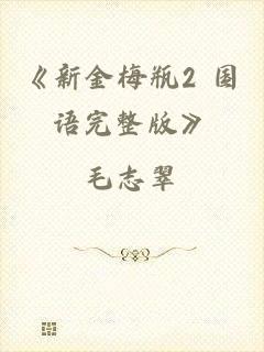 《新金梅瓶2 国语完整版》